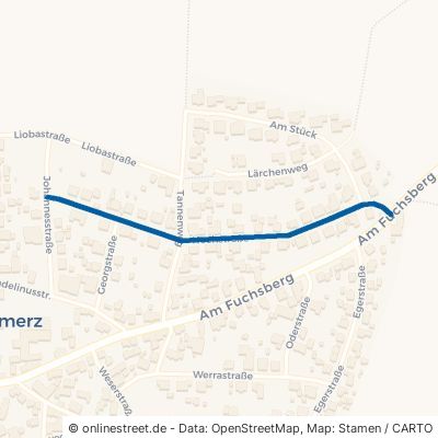 Hochstraße Neuhof Rommerz 