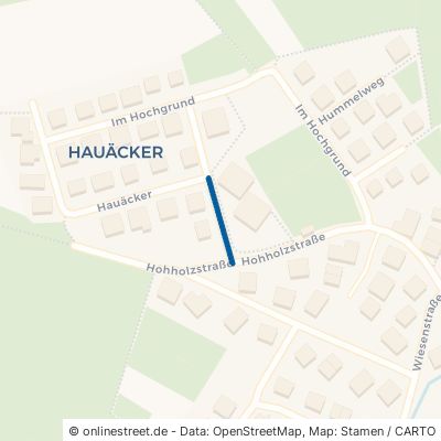 Hauäcker Auenwald Lippoldsweiler 