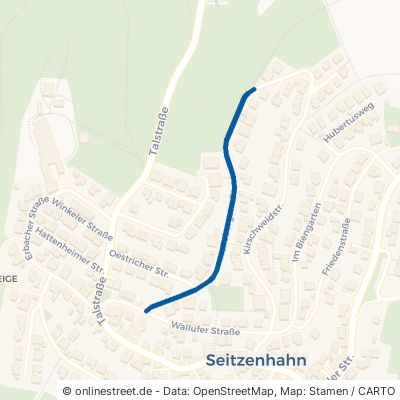 Hellebergstraße Taunusstein Seitzenhahn 