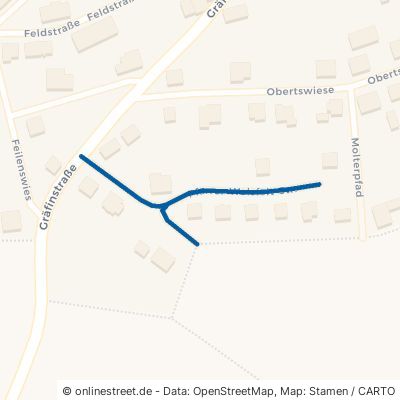 Pfarrer-Wolsfelt-Straße 54426 Heidenburg 