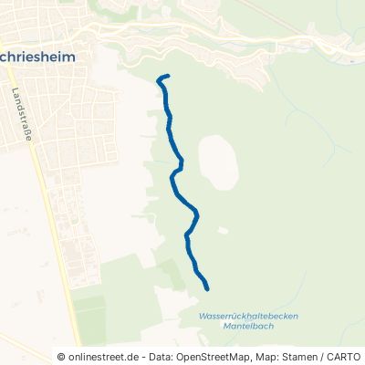 Unterer Ölbergweg Schriesheim 