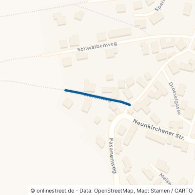 Starenweg Daun Neunkirchen 