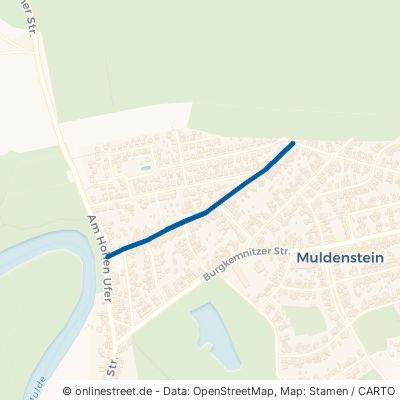 Friedensstraße Muldestausee Muldenstein 