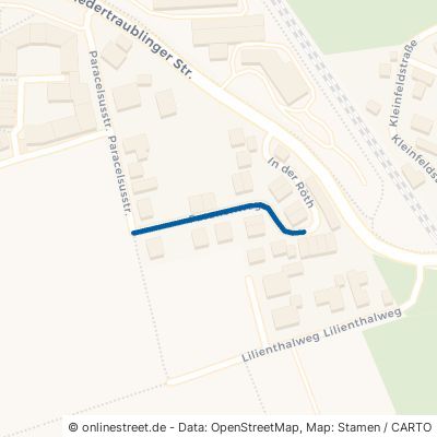 Fasanenweg 93083 Obertraubling Niedertraubling 