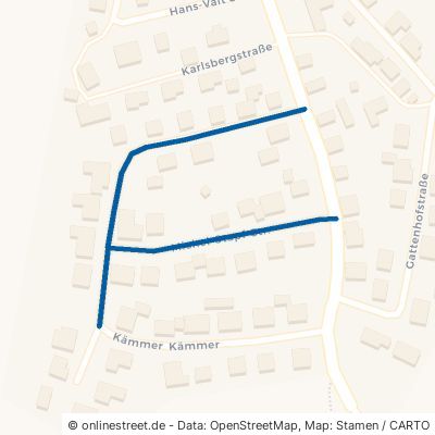 Michel-Stapf-Straße 97702 Münnerstadt 