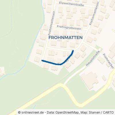 Christian-Pontiggia-Straße 79297 Winden im Elztal Oberwinden Oberwinden
