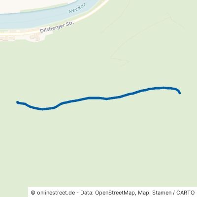 Rückenweg Neckargemünd 