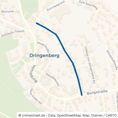 Bischof-Bernhard-Straße Bad Driburg Dringenberg 