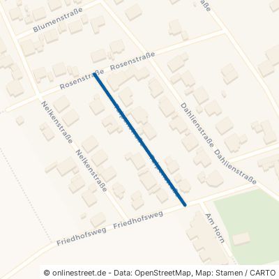 Tulpenstraße 97355 Kleinlangheim 
