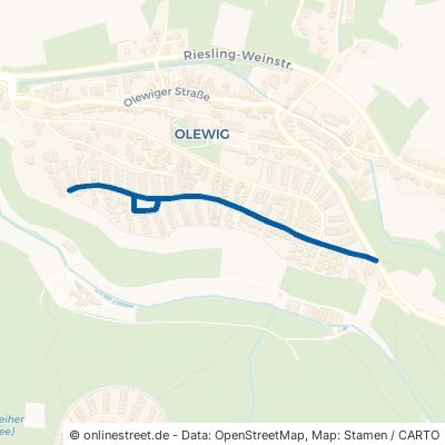 Caspar-Olevian-Straße Trier Olewig 