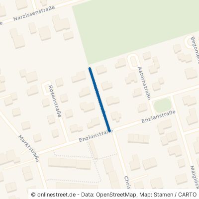 Nelkenstraße 26639 Wiesmoor 