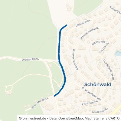 Friedhofstraße Schönwald im Schwarzwald 