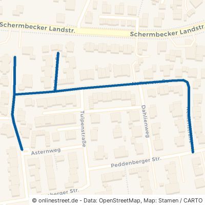 Nelkenstraße Hünxe Drevenack 