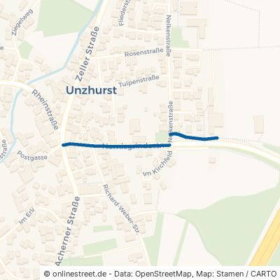 Hornisgrindestraße 77833 Ottersweier Unzhurst 
