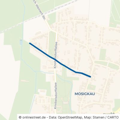 Chörauer Straße Dessau-Roßlau Mosigkau 