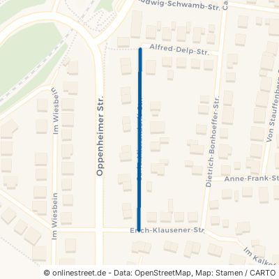 Carlo-Mierendorff-Straße Nieder-Olm 