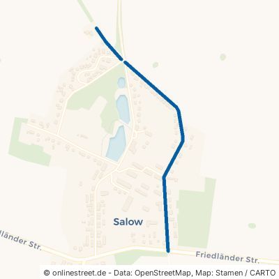 Kastanienweg 17099 Datzetal Salow 