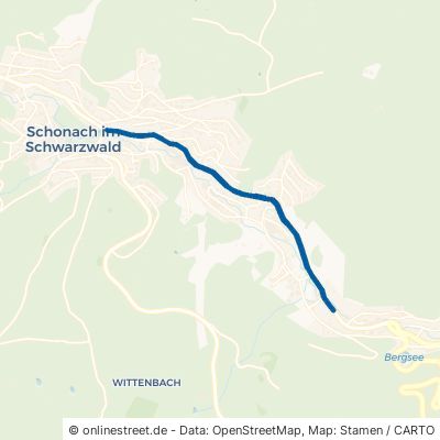 Triberger Straße 78136 Schonach im Schwarzwald 
