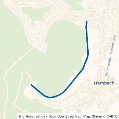 Kirchbergweg 67434 Neustadt an der Weinstraße Hambach