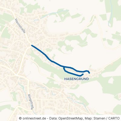 Abtsgasse Offenburg Zell-Weierbach 