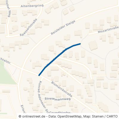 Theodor-Heuß-Straße 97999 Igersheim 