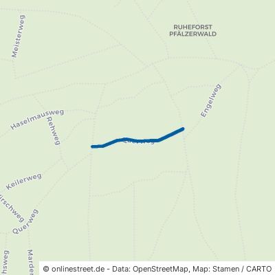 Querweg Bad Dürkheim Hardenburg 