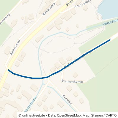 Hohe-Bracht-Straße Lennestadt 