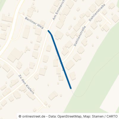 Neuer Trabweg Sankt Wendel Osterbrücken 