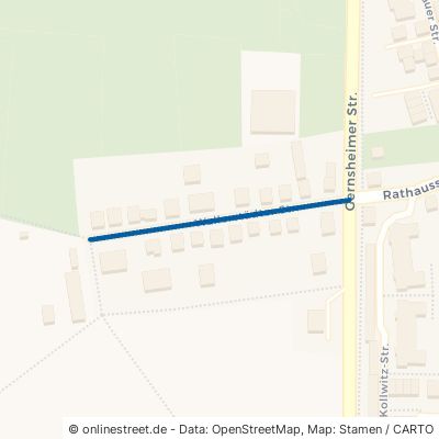Wallerstädter Straße Groß-Gerau Berkach 