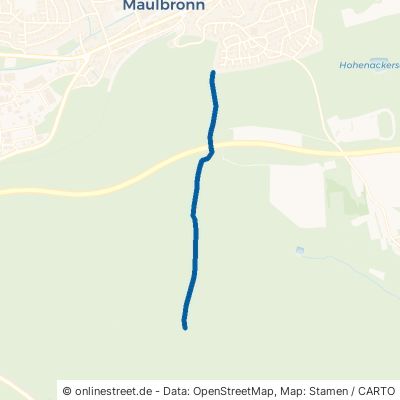 Eckhauweg 75433 Maulbronn 