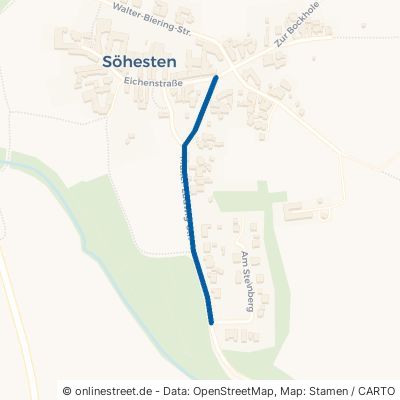 Müller-Ludwig-Straße Lützen Söhesten 