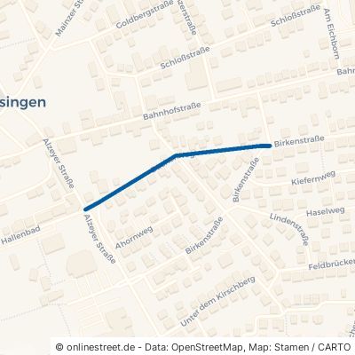 Buchenweg 55457 Gensingen 