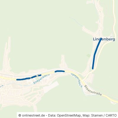 Hauptstraße 67466 Lambrecht (Pfalz) 