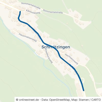 Talstraße Waldshut-Tiengen Schmitzingen 