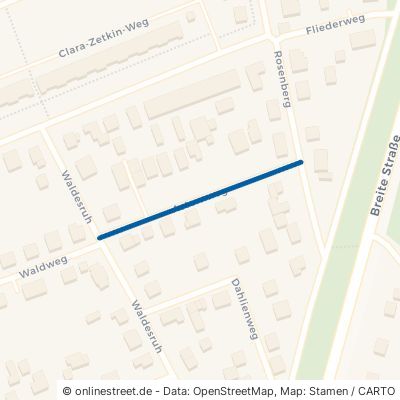 Asternweg 16225 Eberswalde 