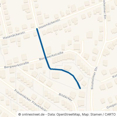Hermann-Buddensieg-Straße 69168 Wiesloch Baiertal 