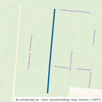 Veilchenweg Dessau-Roßlau Kleinkühnau 