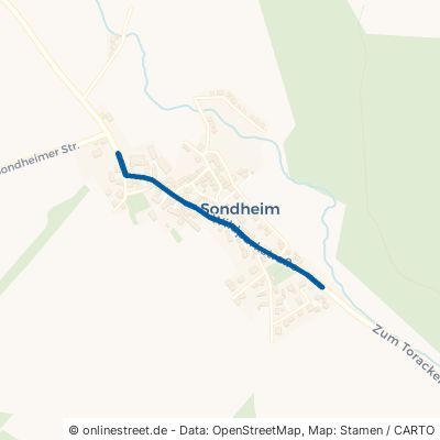 Wildparkstraße Homberg Sondheim 