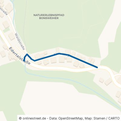 Alter Weg Mörlenbach Bonsweiher 