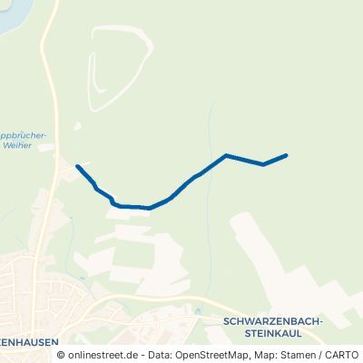 Moosbruchweg 66620 Nonnweiler Otzenhausen 