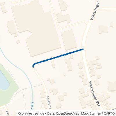 Alexander-Rolinck-Straße 48565 Steinfurt Burgsteinfurt 