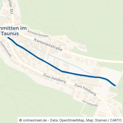 Wiegerstraße 61389 Schmitten 