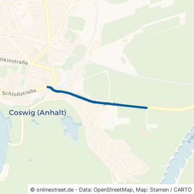 Wittenberger Straße Coswig (Anhalt) Coswig 