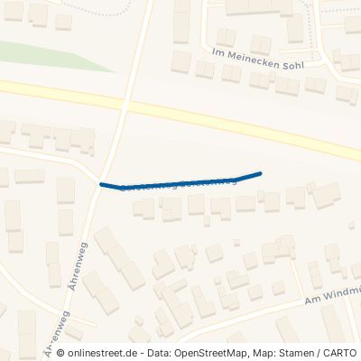 Gerstenweg 38518 Gifhorn 