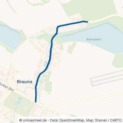 Alte Liebenauer Straße 01917 Kamenz Brauna 