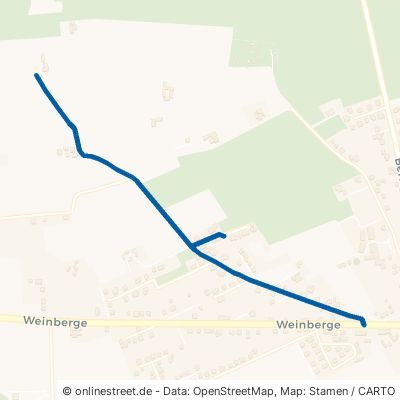 Arnsdorfer Weg Jessen Schweinitz 