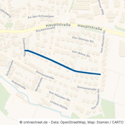 Schillerstraße 97502 Euerbach 