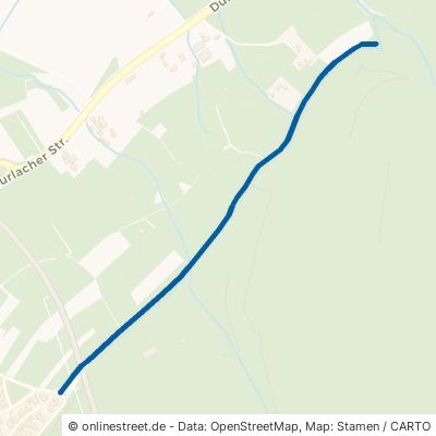 Saumweg Ettlingen 