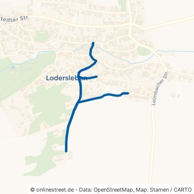 Kacheltor 06268 Querfurt Lodersleben 