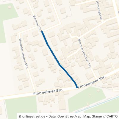 Dorfgrabenstraße 55234 Biebelnheim 